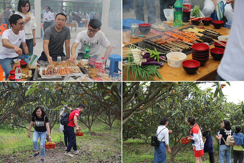 1495504868619385.jpg 拼圖2.jpg