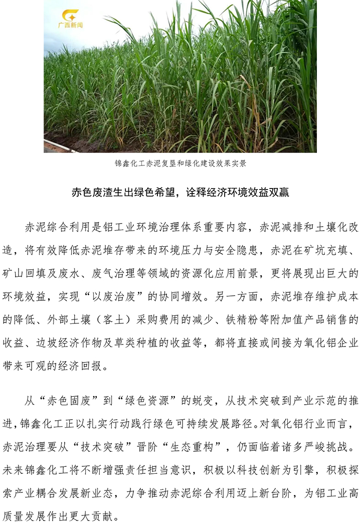 充分擔(dān)當(dāng)企業(yè)主體責(zé)任 堅(jiān)定綠色可持續(xù)發(fā)展 錦鑫化工赤泥綜合利用表現(xiàn)獲行業(yè)認(rèn)可-5.jpg